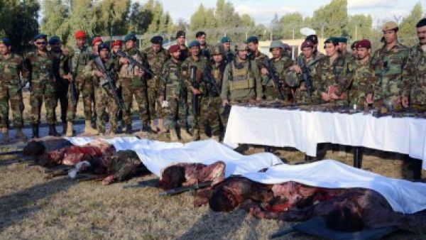 قوات أفغانية بجانب جثث مقاتلي طالبان في اقليم قندهار