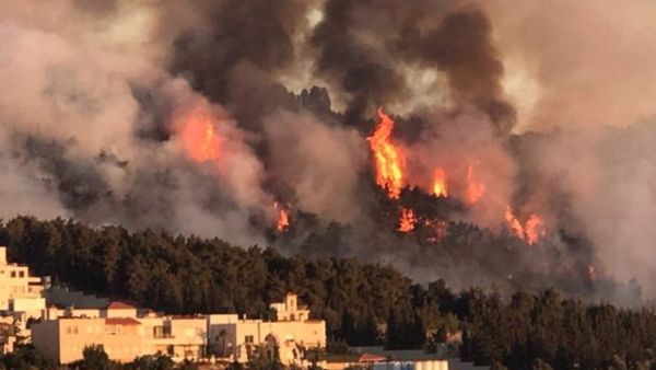 العاهل الأردني بملابس المنزل يطفئ حريق الأحراج ..والملقي عالقًا بوروده