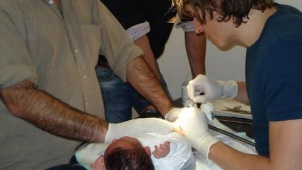 الأب يعيش في لندن منذ 15 عاماً - ارشيف 