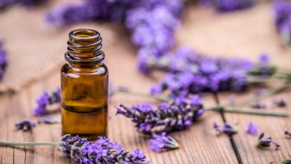 يعمل زيت اللافندر كمرطب طبيعي للبشرة (shutterstock.com)
