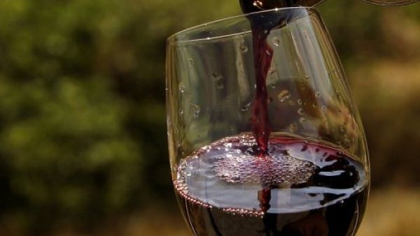 كاس من النبيذ اللبناني الاحمر
