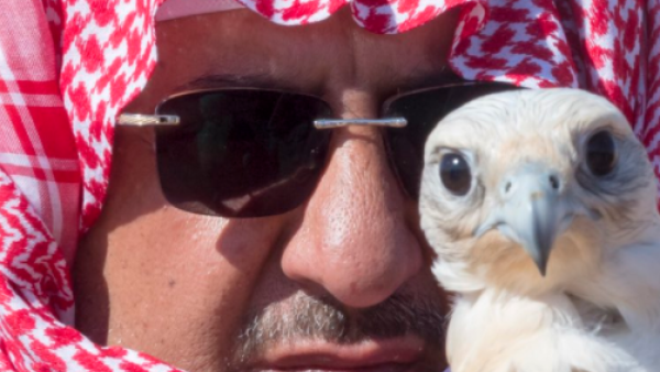 الأمير محمد بن نايف برفقة صقره  