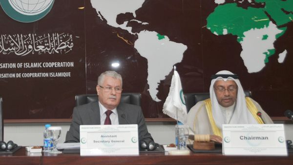 المنظمة تؤكد أهمية دعم ولاية وعمل اللجنة الخاصة المعنية بالتحقيق في الممارسات الإسرائيلية التي تمس حقوق الإنسان للشعب الفلسطيني وغيره 