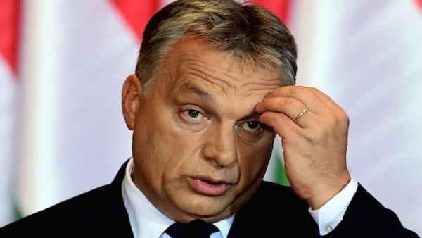 أكدت المجموعة أن على الصحيفة أن تتكيف مع اتجاهات السوق 