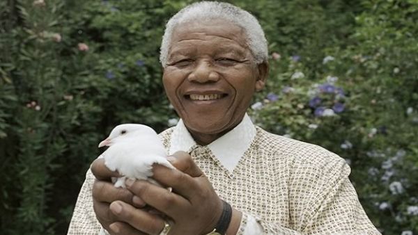 لو كان مانديلا أردني