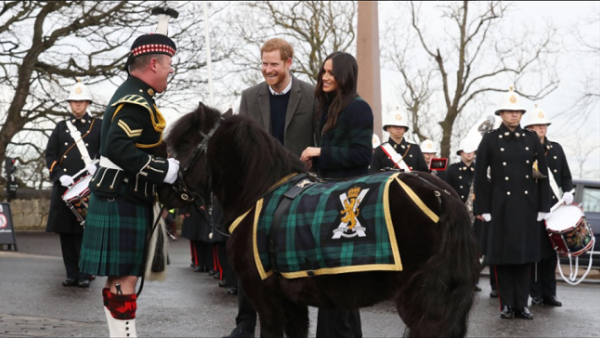 الأمير هاري وخطيبته ميغان ماركل مع المهر كروتشان (twitter.com/KensingtonRoyal)