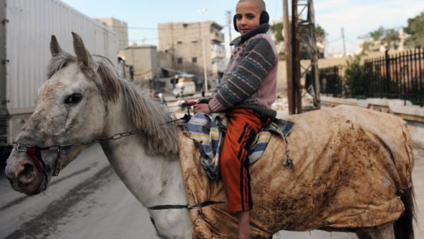 A Syrian child poses on a horse in the northern city of Aleppo. (AFP PHOTO/BULENT KILIC)