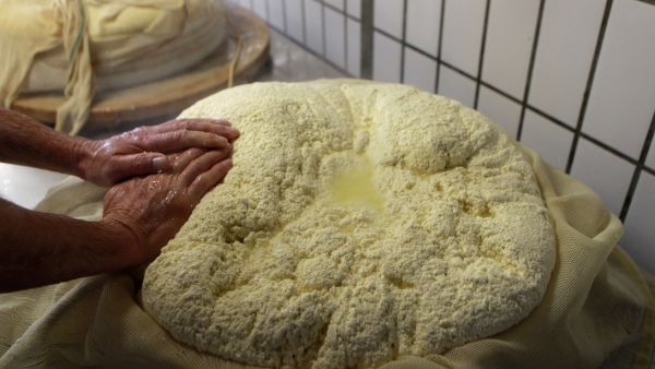 Cheese from markets in Taiz as Awshaqhi cheese as well as Arafi is the most popular nationwide and sold abroad to Gulf states.
