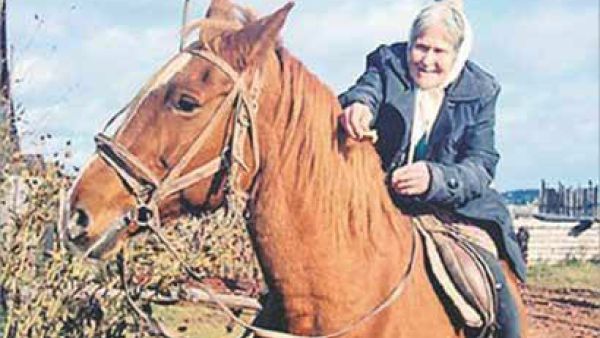 العجوز تعود بالحصان