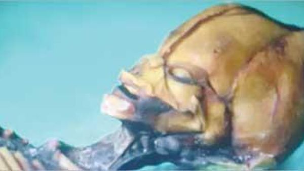 صورة المخلوق