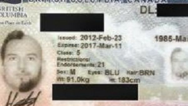 رخصة القيادة