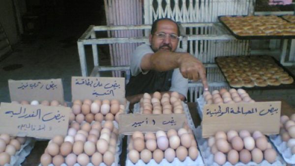 بيض من كل نوع