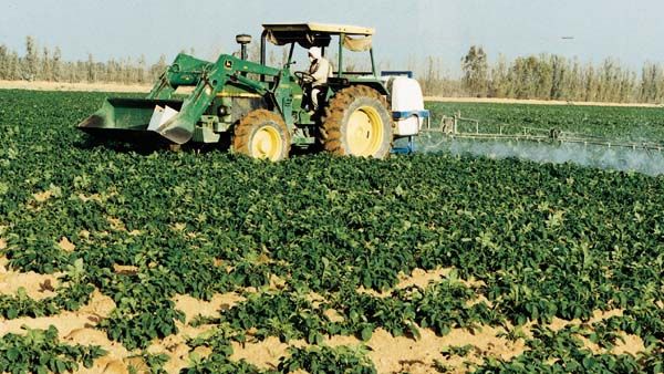 Saudi Agriculture 