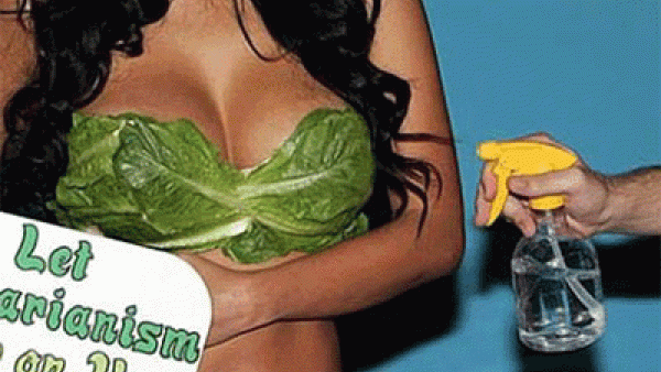 مايوه من الخس الطبيعي