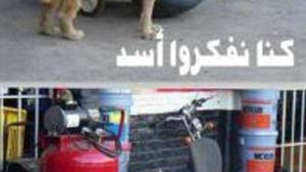 شيء بحير..