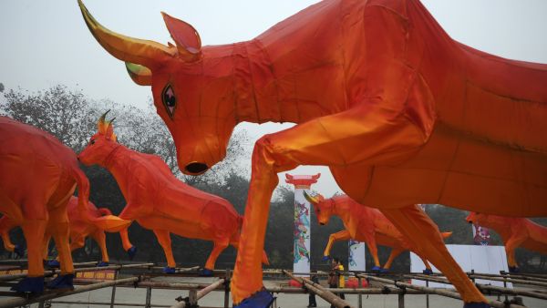 Chinese Zodiac has goats, pigs, ox and snakes. This Nerd version includes pirates, robots and samurais,
