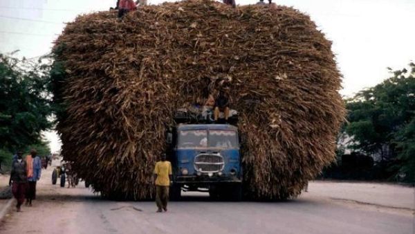 سيارة ميرام بس لسه ما راحت ع الكوافير