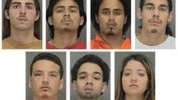 الاميركية والاشقاء