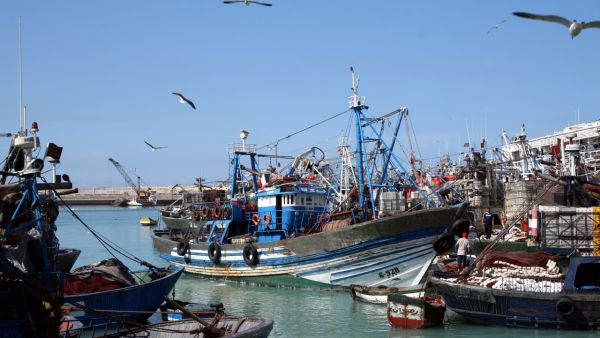 The project includes a new port, a new base for the Qatar Emiri Naval Forces and the Qatar Economic Zone 3.