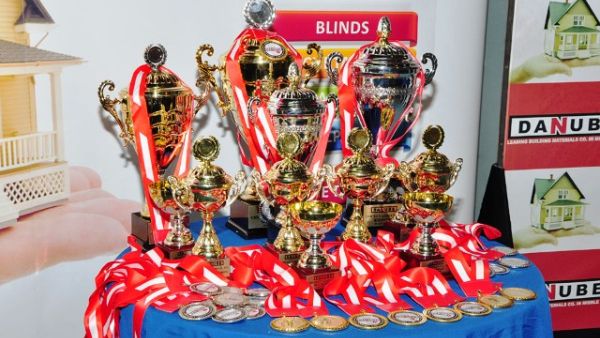 Awards and cups for winners Awards and cups for winners