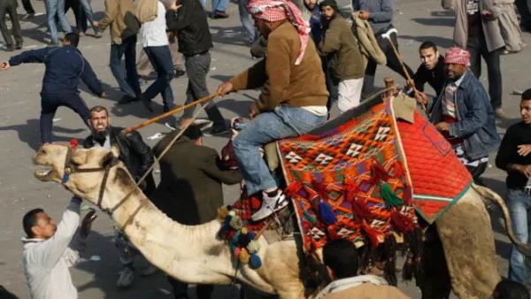 القبض على مساعد سابق لمبارك 