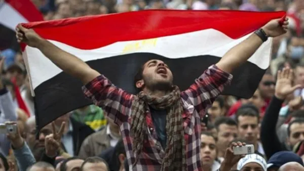 حماية الثورة 