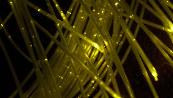 Lebanon has secured the missing link that might generate faster internet services, via a submarine cable.