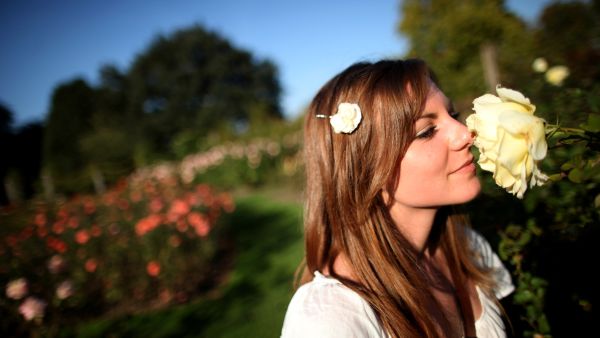 Northern Europe gets its exotic Indian Summer while the Middle East cools to a tepid lull, after a sizzling Spring-turned Summer.