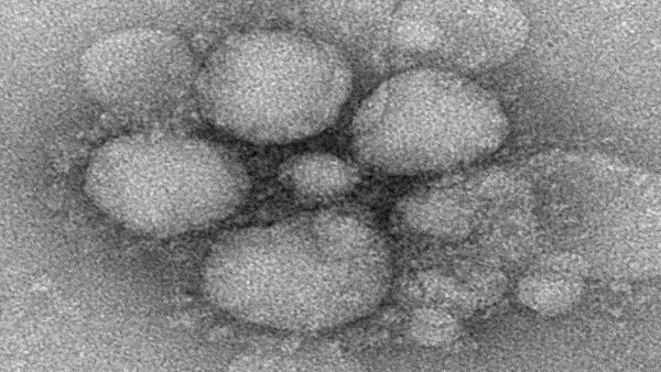 (Center for Disease Control and Prevention, United States Department of Health and Human Services)
