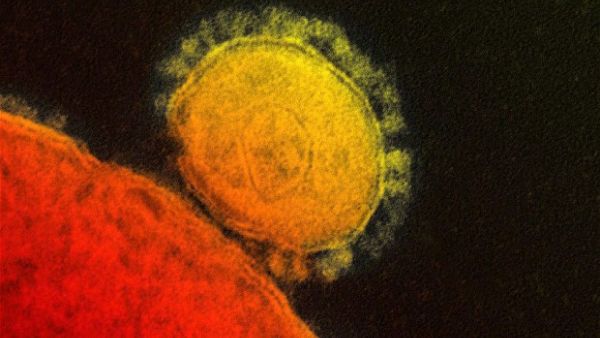 Egypt reported its first case of MERS Saturday (File Archive)