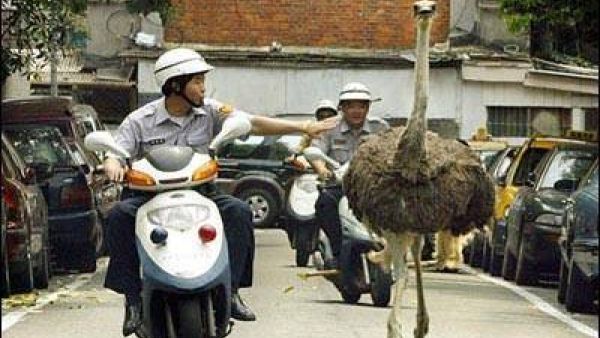 A scene much like this one developed in the streets of Saudi Arabia