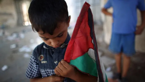 القرار احتجاجا على العدوان على غزة 