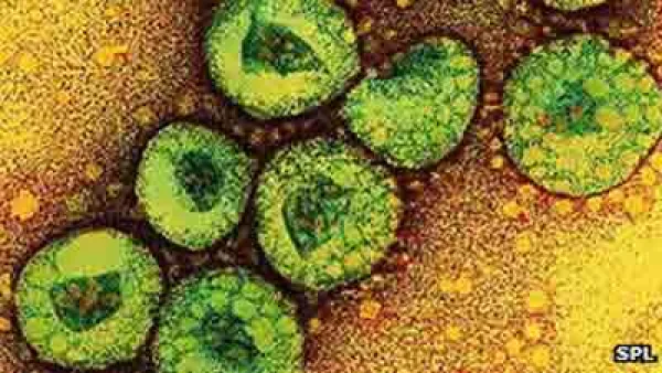 The World Health Organisation says it is closely monitoring the novel coronavirus. 