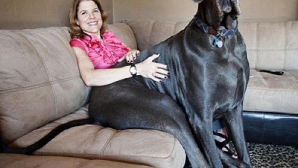 سحر والكلب قبل ما تطلع بدون مكياج