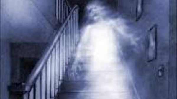 The company was only "ghost-run" by an Emirati, when in fact, an expat did all the work. 