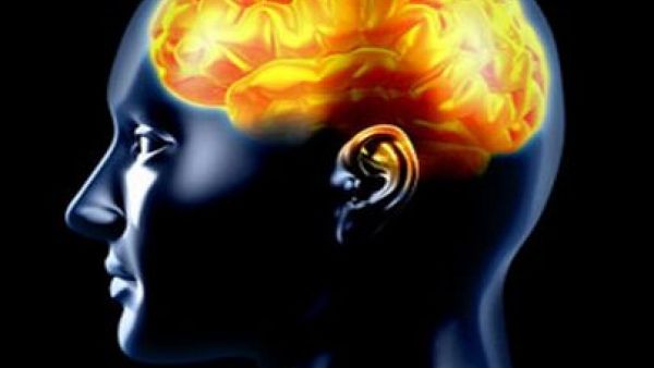 أجزاء مختلفة من الدماغ يتم استعمالها عندما يختار الشخص إخفاء مشاعره بمحض إرادته، مقارنة بأمره لإخفاء هذه المشاعر