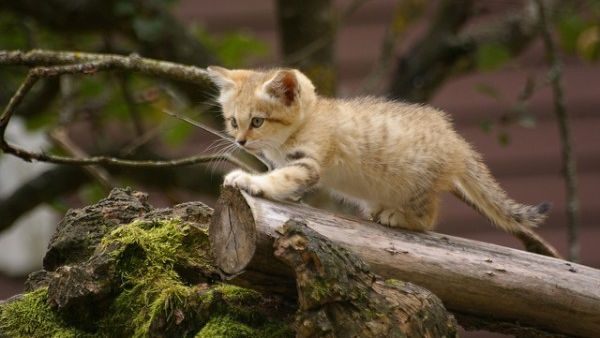 صورة تعبيرية عن الانترنت