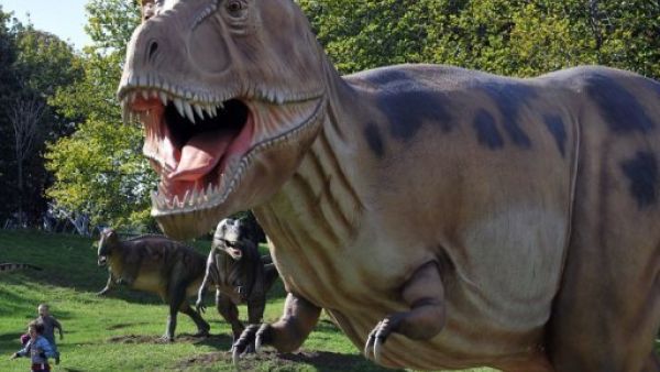 وزن الديناصورات أخف مما هو شائع
