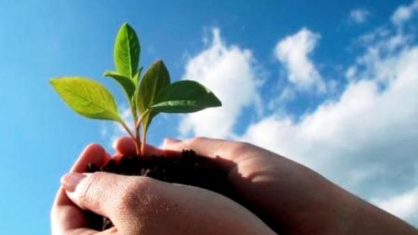 "Eye on Earth" presents a timely opportunity to identify practical measures to bridge the environmental knowledge gap "Eye on Earth" presents a timely opportunity to identify practical measures to bridge the environmental knowledge gap