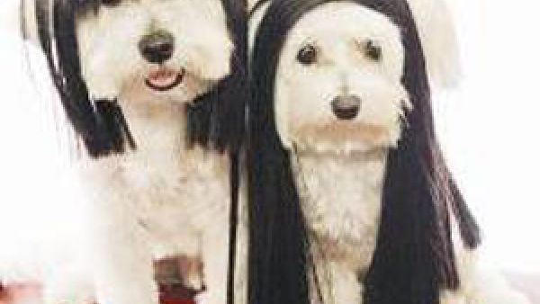 ايهما اشبه بسارة ومادونا