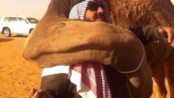 A camel identified its previous owner during a parade in Saudi Arabia this week, embracing the man by wrapping its neck around him. [Al Arabiya]