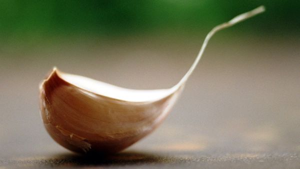 Garlic, this harmless looking plant bulb, can be social suicide.