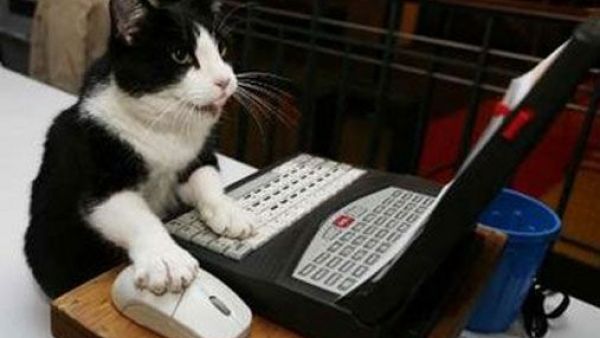 بدي شيء بسه بعد ما راح شباط