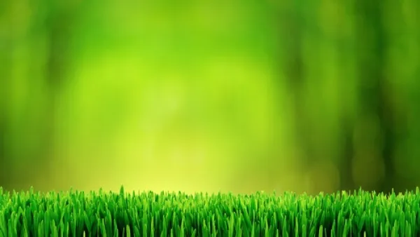 Oumran added that Egypt is not currently facing any hindrances in its plan to produce renewable energy through wind and solar energy.

