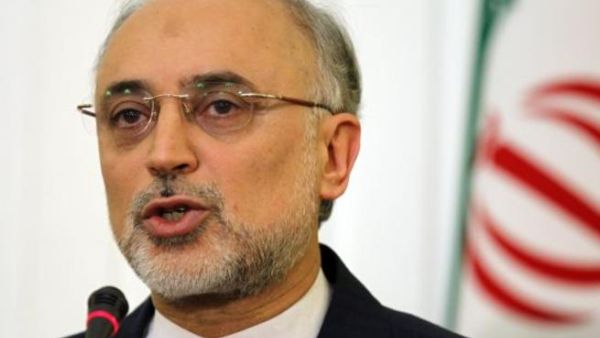 Iran's Foreign Minister Ali Akbar Salehi 