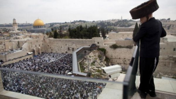 A campaign is afoot to Jud'aify Jerusalem by hook or crook, whether by naming of Arab precincts a Hebrew name or removal of olive trees to annul the Palestinian Arab heritage of the city.