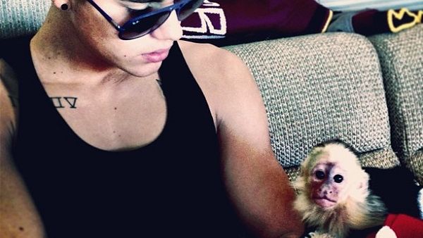 Justin Bieber had to leave a monkey in quarantine after landing in Germany last week without the necessary papers for the animal, an official said Saturday.