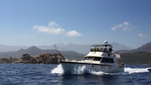 سفينة الكرامة