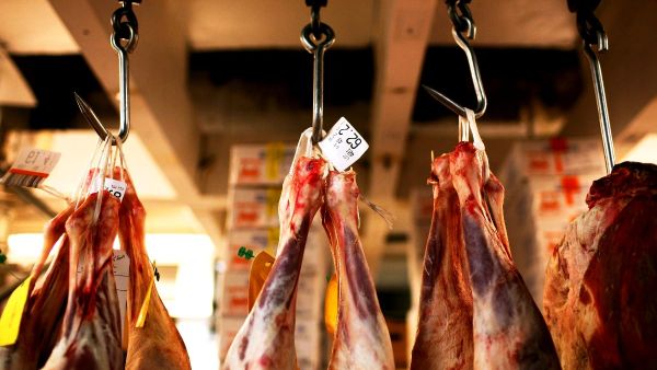 Friends in Kosher and Halal: Jews and Muslims bond over ritualistic lamb slaughter. Friends in Kosher and Halal: Jews and Muslims bond over ritualistic lamb slaughter.
