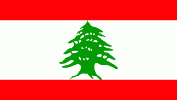 Although 2013 was a bad year for Lebanon in terms of politics, security and the economy, 2014 could be worse.